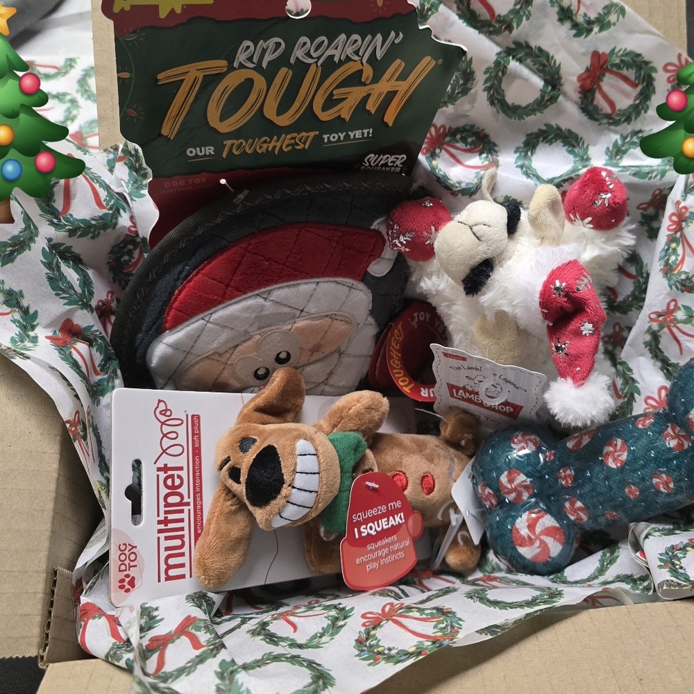 Christmas Dog Toy Box (SMALL/MED Dogs) 4 Toys - Multipet, Lamb Chop, Santa